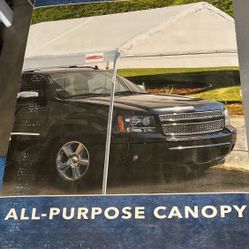 Car Canopy 10x20