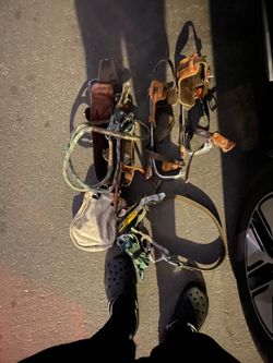 Climbing belt and buck squeeze and GAFFS for climbing poles