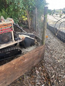 Stumps Grindings
