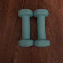 Set Of 2 Lb Dumbbells 