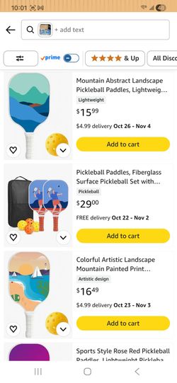 Pickleball Paddles, pair and 1 ball