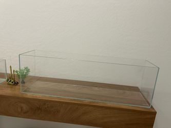 Reptile tank and decorations