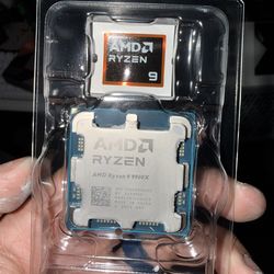 AMD Ryzen 9900X