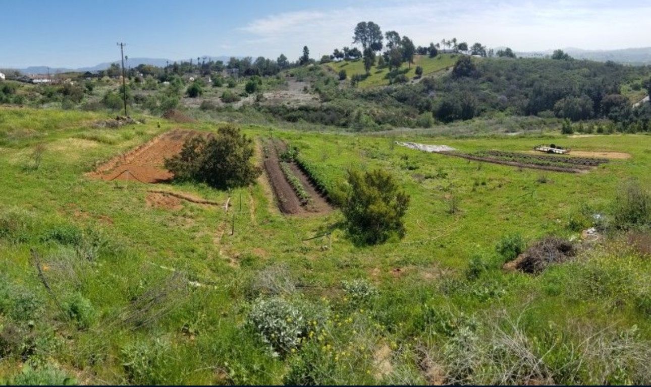 Farm Loan/Seeking Investor For Farm Land