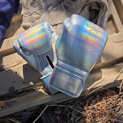 SPLENDORE BOXING GLOVES