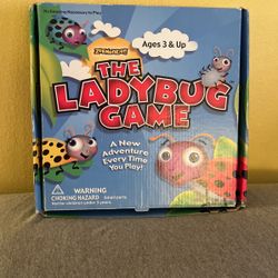 The Ladybug Game 