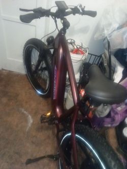Electric bike