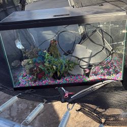 Fish Aquarium 