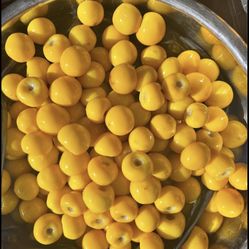 Nance fresco La cubeta y por menudeo