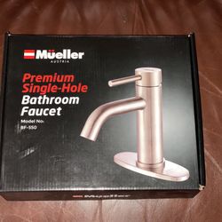 Mueller Premium Single Hole Bathroom Faucets (2 available)
