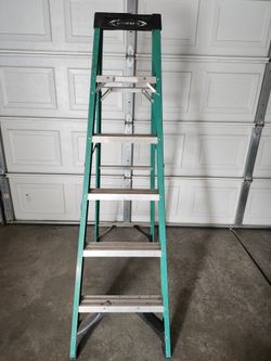 Werner 6 ft Ladder