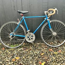 1970s Schwinn Traveler Bike 