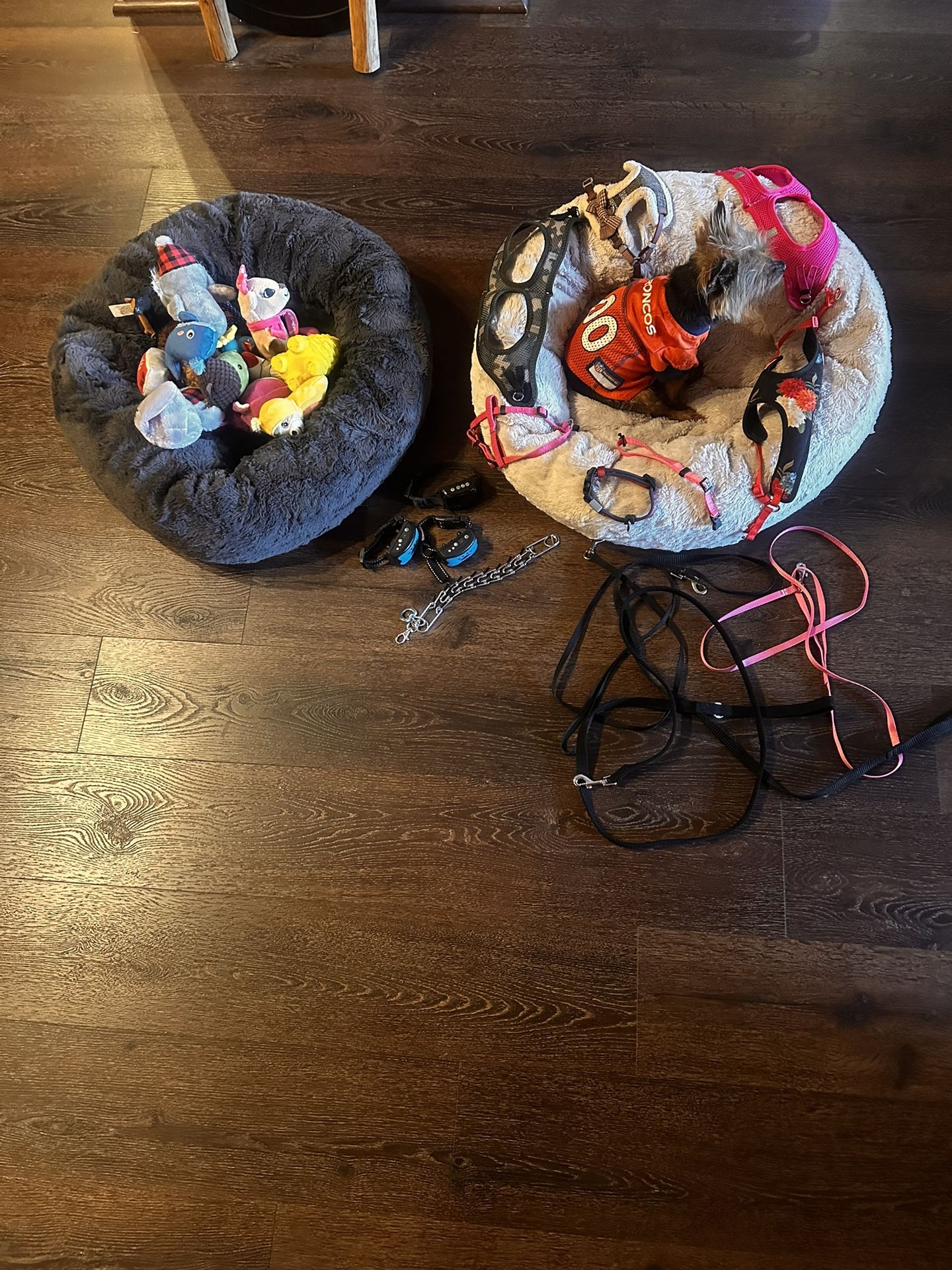 Miscellaneous pet Items