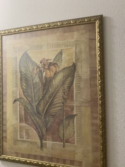 Wall pic