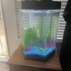 20 gallon hexagon fish tank