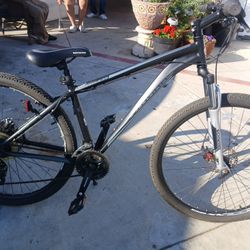 Schwinn Ascension-29