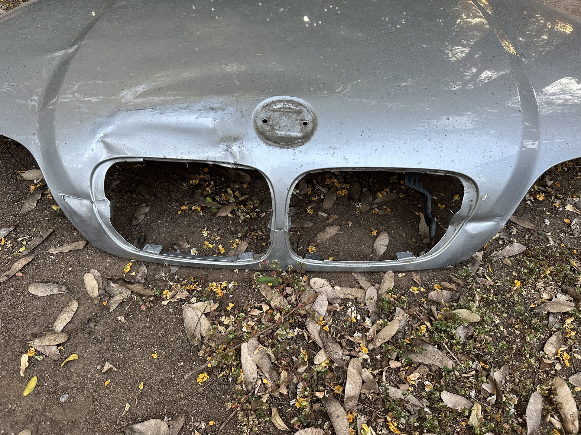 BMW E46 Coupe Hood