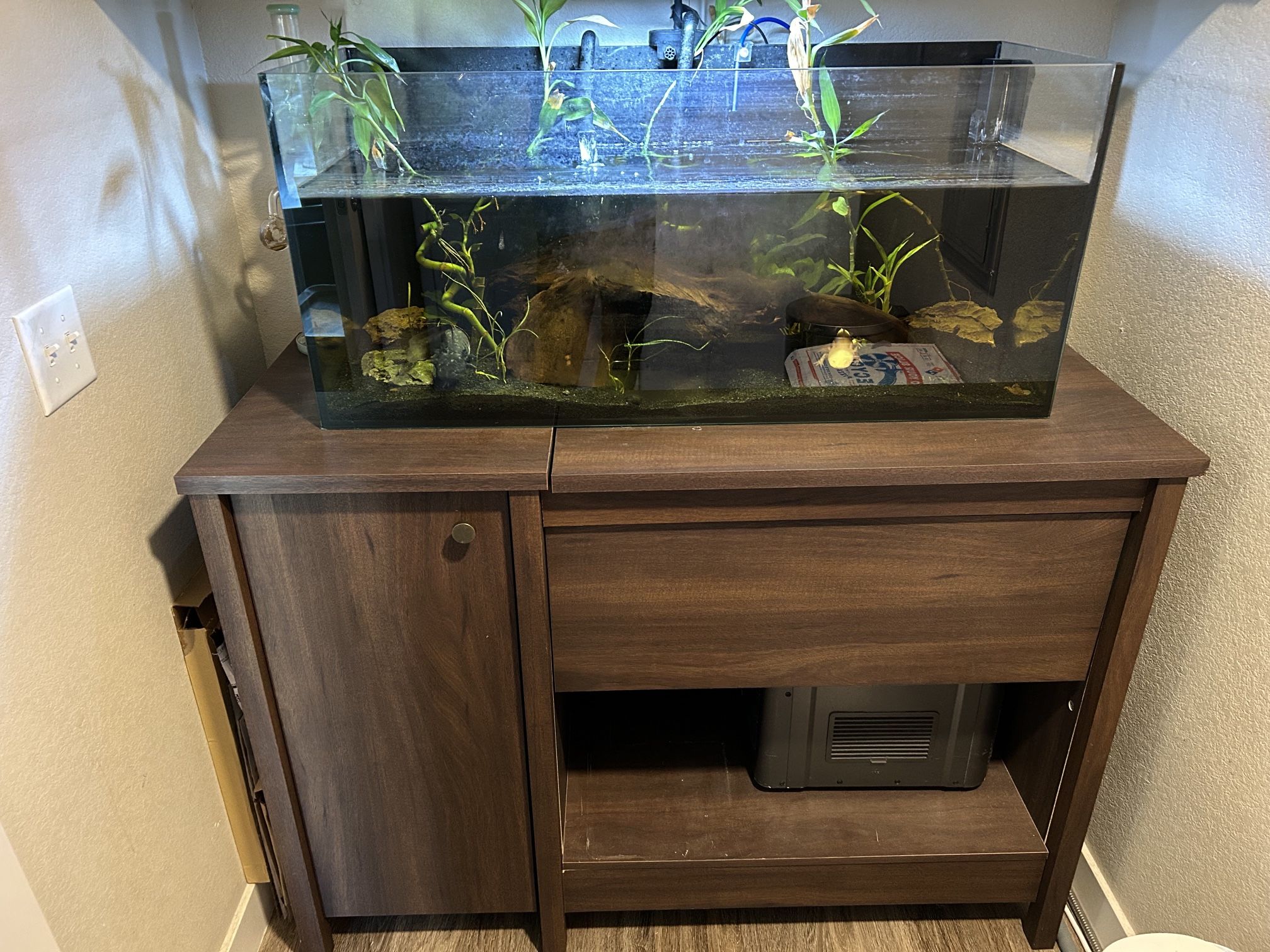 Complete Axolotol Aquarium Setup