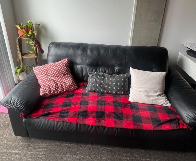 Couch Set - 2 Couches