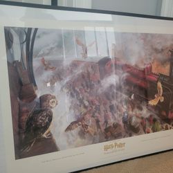 HARRY POTTER AND THE SORCERERS STONE 2015 30x20 POSTER