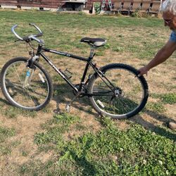 Schwinn High Timber SS