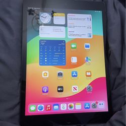 iPad 9th Gen WiFi 64gbs 