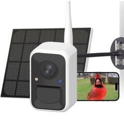 Solar Powered Smart Bird Feeder Camera 