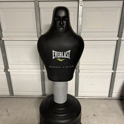 Everlast Boxing Sparring Bag