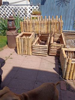 Bamboo planter ss boxes