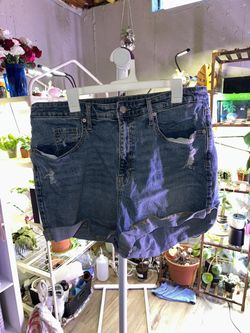 women’s shorts