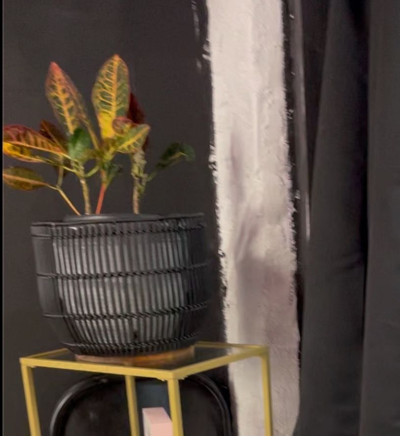 2 Wickerd Plant Holders 