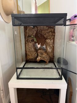 18x18x24 reptile terrarium 30 gallons