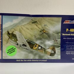 AMtech ~ P-40E "Warhawk/Kittyhawk" USAAF WWII Fighter Plane ~ 1:48 Scale SEALED