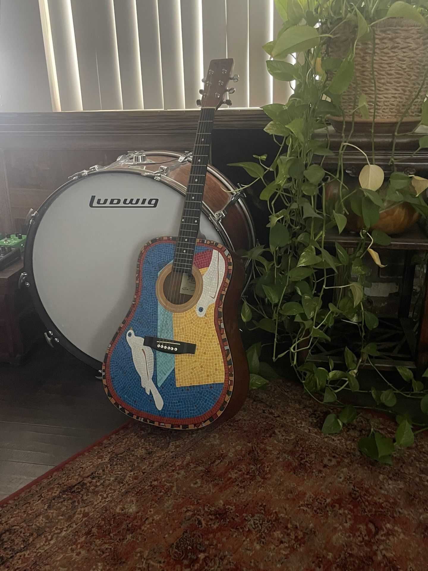 Acoustic Guitar (Custom) (Art Piece)