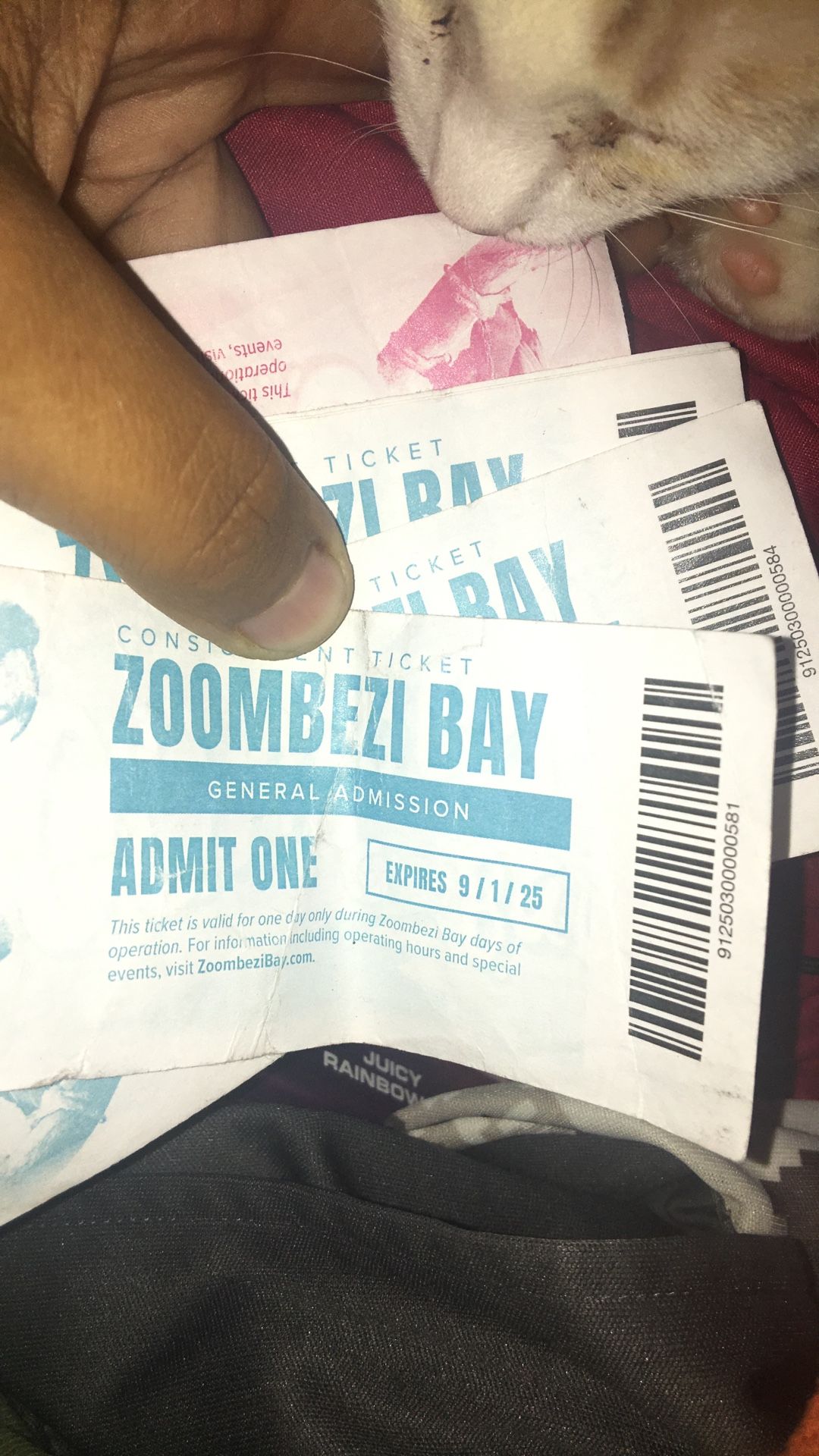 Zoombezibay Tickets 