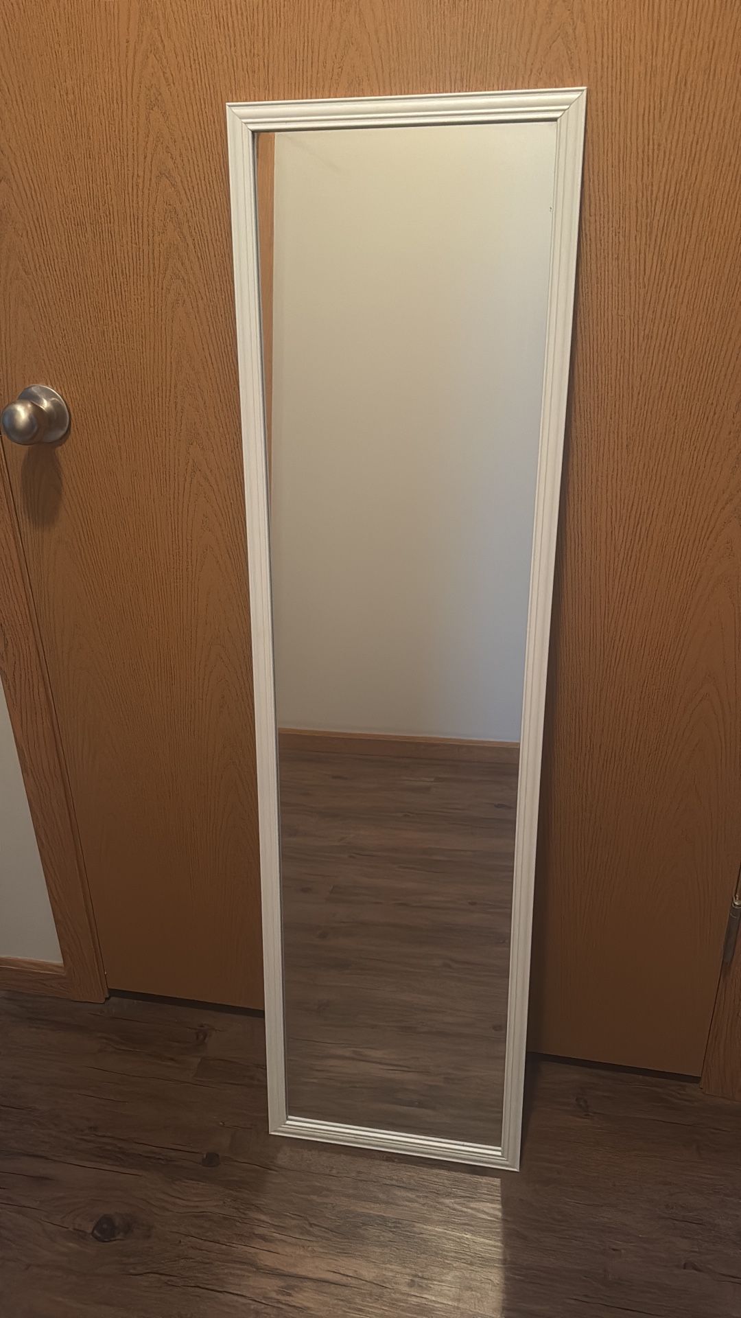 Door Mirror