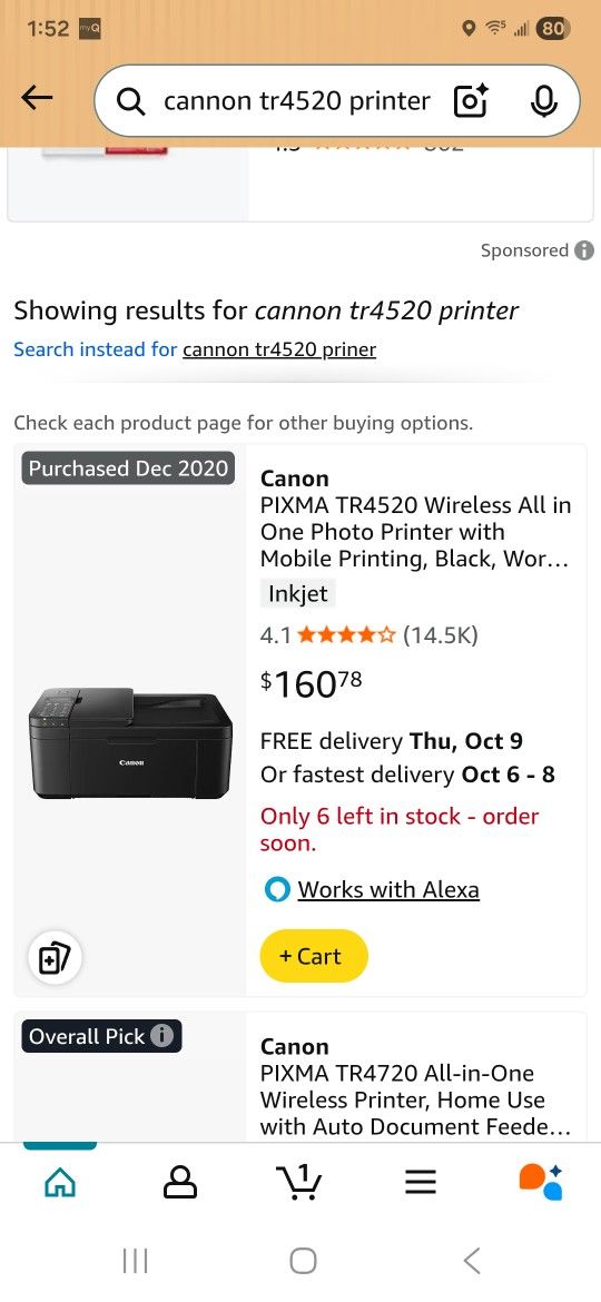 Cannon Wireless Printer TR4520