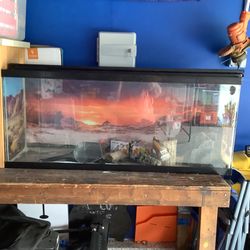 Aquarium for lizards or fish comes with lots of extras this is a 55 gallon aquarium  21” tall, 48” wide and 13” deep.  Has cover  Plainfield, Illinois