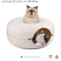 Cat tunnel/bed 