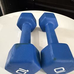 Embark Neoprene Hex Dumbbell Hand Weight Pair Set =20lb by