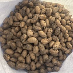 PECANS