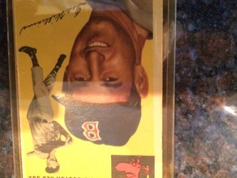Ted Williams 1954. Topps Card