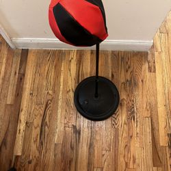 Training Punching Bag