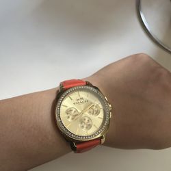 Coach Watch 