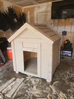 Dog House 