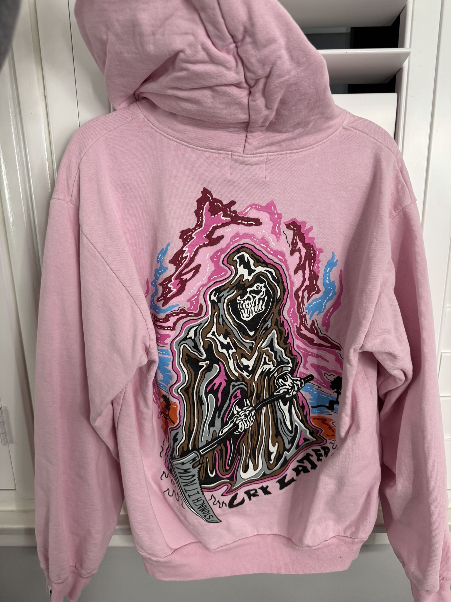 Warren Lotas Pink Hoodie (size medium)