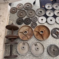 Gym Weights Dumbells And Curlbars 