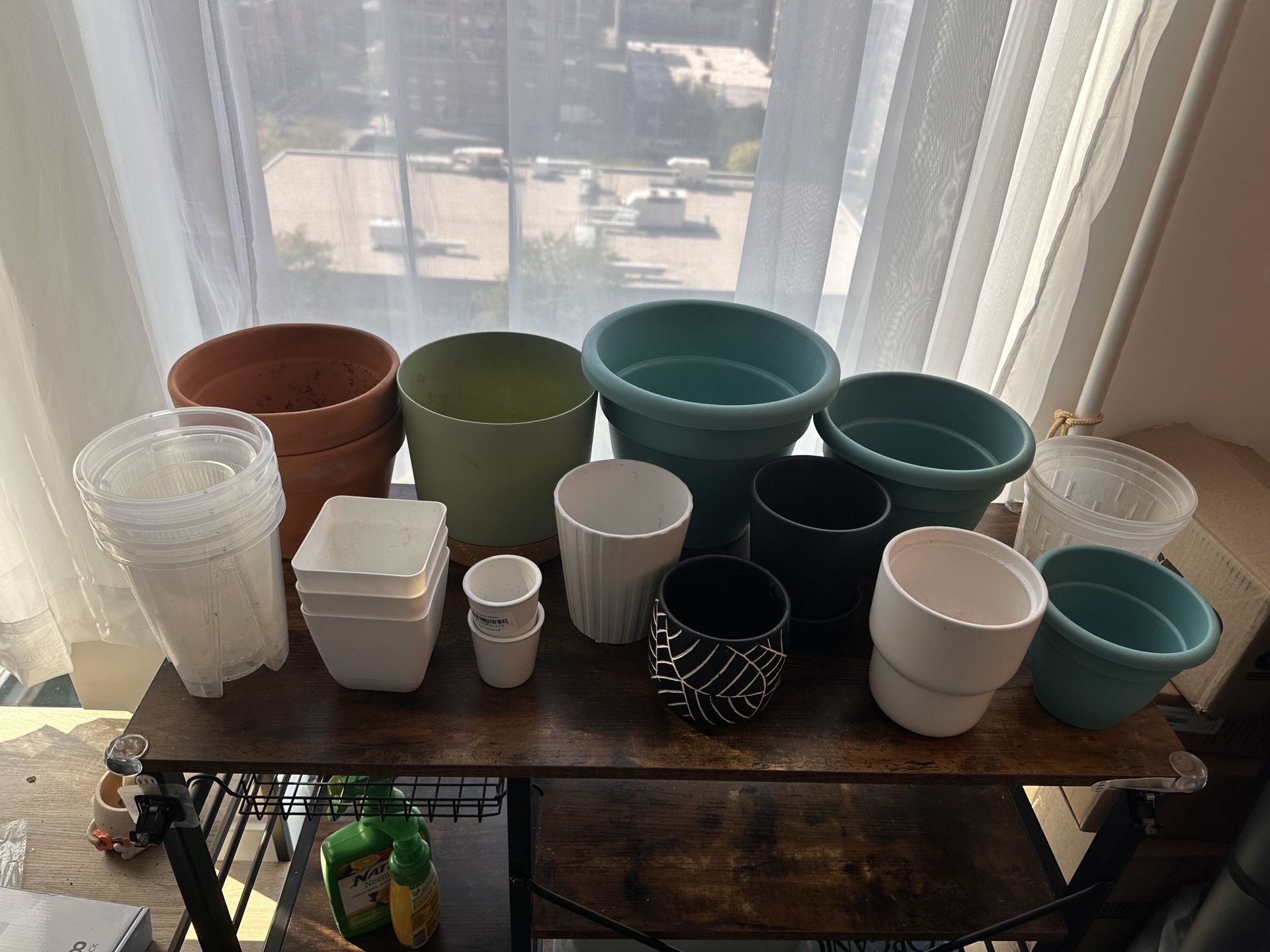 Free plant pots