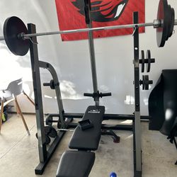 Nautilus Adjustable Weight Bench With Lat Pulldown 
