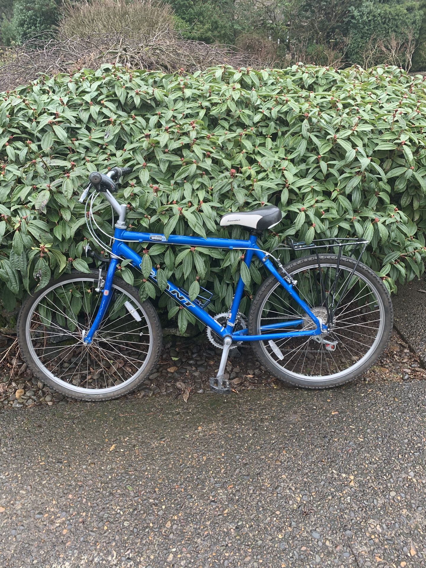 Giant Bike